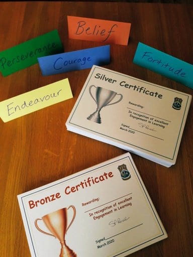 Cycle 2 Certificates!